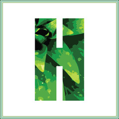 green nature alphabets green leaves bold font
