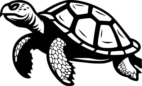 black turtle silhouette