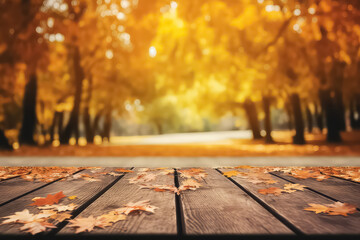 Naklejka na ściany i meble autumn background floor in golden forest,