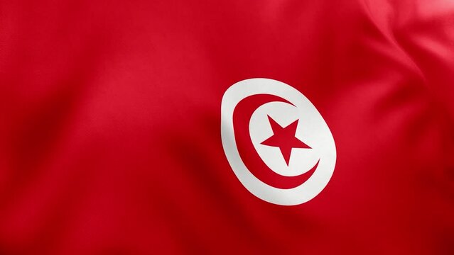 waving flag of tunisia