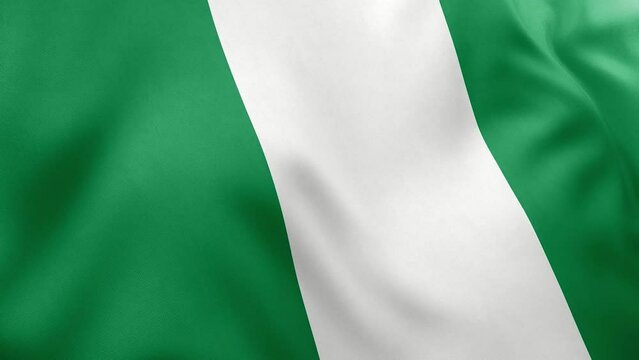 waving flag  Nigeria