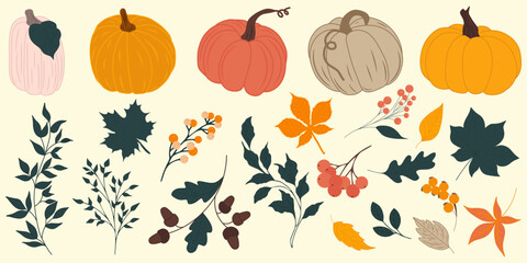 Hand drawn vector set autumn elements. Fall leaves, mushrooms, maple, acorns, berries, oak, pumpkins. Harvest time. Colored trendy illustration. Autumn floral stickers.