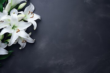 Beautiful white lily flowers on black background with copy space.Funeral Concept