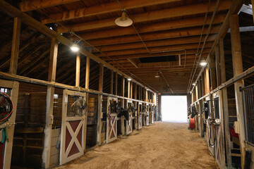 Interior shot of wooden horse stable with stalls inside the barn