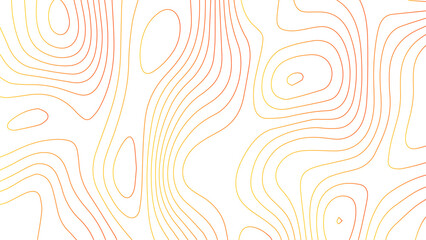 Fototapeta premium abstract White wave paper curved reliefs background .Panorama view gradient multicolor wave curve lines banner background design. Vector illustration. wave Line topography map contour background.