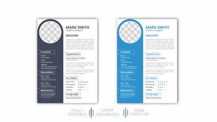 Modern CV Format 2024