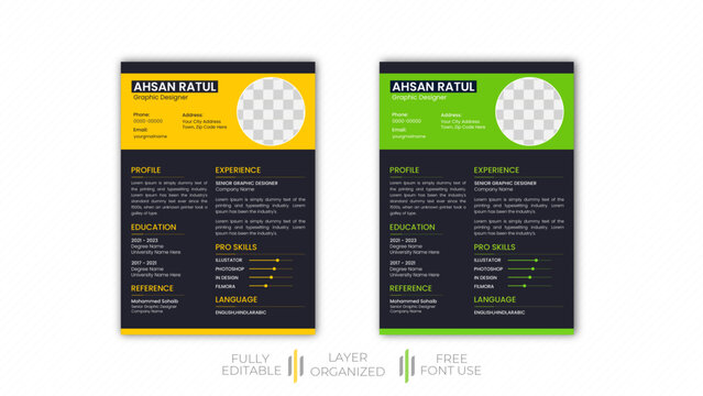 modern resume template 2024