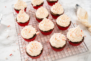 Chocolate peppermint cupcakes