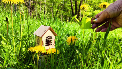 miniature toy house in grass, dandelion flowers and hand with watering can. natural background. symbol of Eco Friendly home. mortgage, construction, rental, property concept. soft selective focus