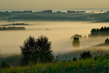 Abwaschbare Fototapete Birkenhain Russia. Altai Territory. Misty dawn in the valleys and ravines of hilly fields with birch groves near the village of Yeltsovka.