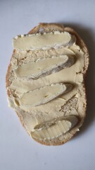 oysters on a white background