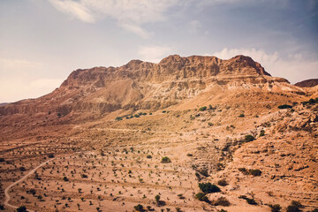 Scenic view of red mountain and downhill plantation. Planting and agricultural works in arid territories of the middle east. Ein Gedi National park, Israel. Travelling in Israel. Wanderlust