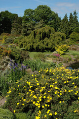 Obraz premium Jardin botanique; Edinbourgh; Ecosse; Grande Bretagne