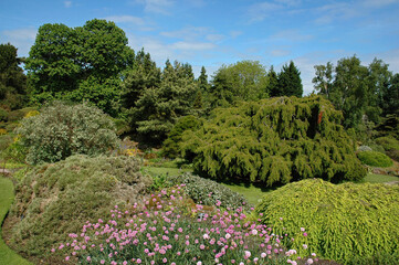 Jardin botanique; Edinbourgh; Ecosse; Grande Bretagne