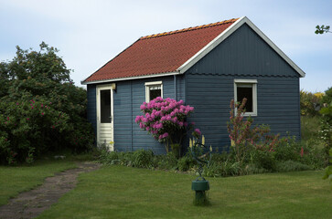 Fototapeta na wymiar Maison , jardin, Rhododendron , Lupin,. Ile de Tercschelling , Pays Bas