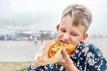Thoughtful boy eats fresh hotdog resting in mountain park closeup. Kid bites large piece of...