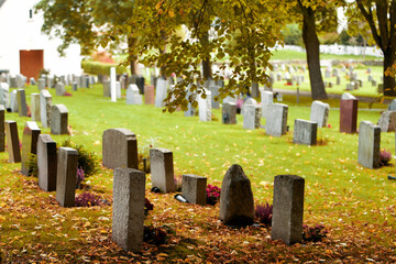 Tombstones Amidst the Serene Cemetery Landscape. Eternal Rest. A Blank Tombstone in an Old Cemetery