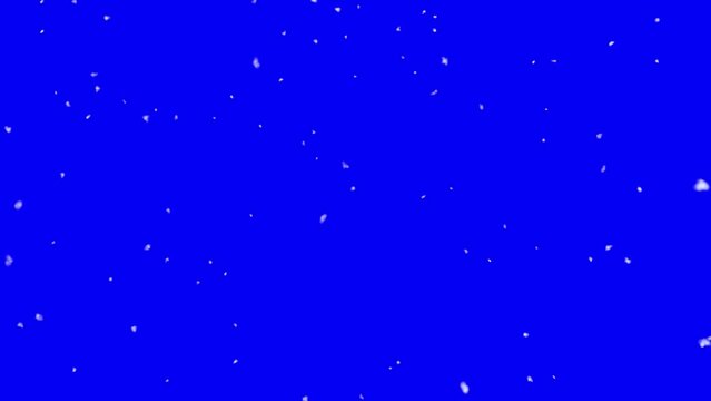 Snow flakes falling in front of blue screen