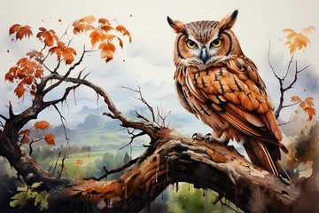 Papier Peint photo Lavable Dessins animés de hibou owl on tree branch