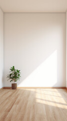 An empty white room with a wooden floor and potted a plant