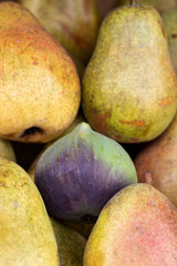 Purple fig and yellow pears. Ripe organic fruits.