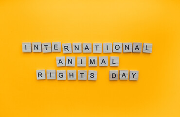 December 10, International animal rights day, minimalistic banner with the inscription in wooden letters