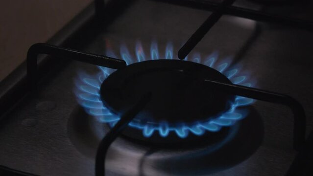 Cooker uses combustible or natural gas from the city. Home fire on kitchen stove burning gas wasting it. The energy crisis and rising energy prices.