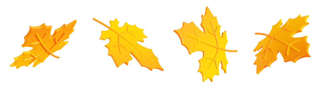 Yellow maple leaf 3d render illustration set - cartoon icon of autumn tree fallen dry foliage in various angles.