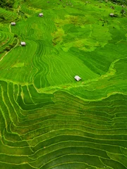 Selbstklebende Fototapete Reisfelder Rice terraces in northern Vietnam