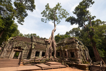 Fototapeta na wymiar Ta Prohm temple ruins hidden in jungles at Angkor Wat - Wall carving with woman famous Angkor Wat complex, Siem Reap, Cambodia