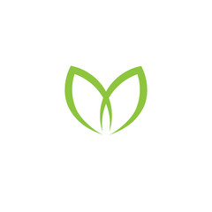 simple green leaf logo vector design