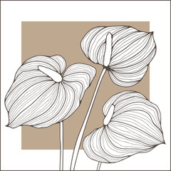 Three delicate calla flowers on a beige background. Floral wall design in beige and brown tones. Wall decoration, painting for decoration, creating wallpaper and backgrounds.