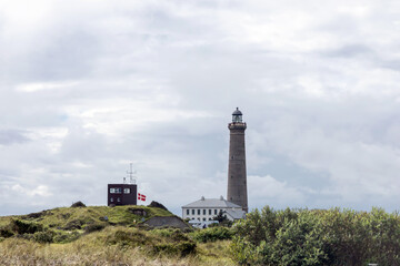 Fototapeta na wymiar Natural landscape with lighthouse. Sand dunes covered with bushes and grass.