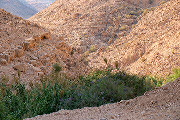Wadi Al-Auja in Jericho, Palestine