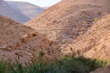 Wadi Al-Auja in Jericho, Palestine