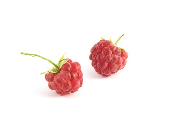 Close-up image of a raspberry on a white background.