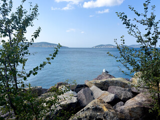 Seagull watching the peaceful sea and island view