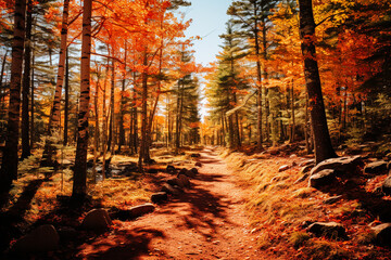 Obraz premium colourful autumn landscapes. AI generativ.