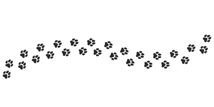 Paw vector foot trail print on white background. cat or Dog, path pattern animal tracks isolated on a white background