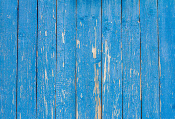 Fototapeta na wymiar old wooden wall painted blue, weathered wooden background with nails and slits.