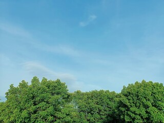 Obraz premium This small state is located in the southwestern tip of India