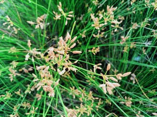 This small state is located in the southwestern tip of India