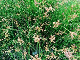 This small state is located in the southwestern tip of India