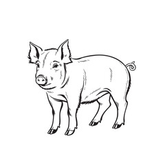 pig silhouette isolated on white background