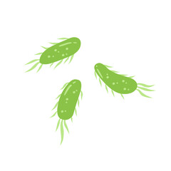 E. coli bacteria vector icon