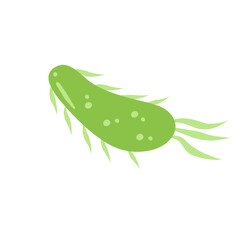 E. coli bacteria vector icon