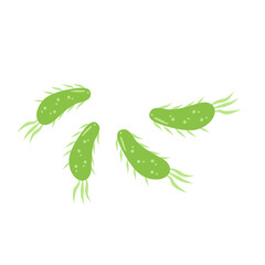 E. coli bacteria vector icon