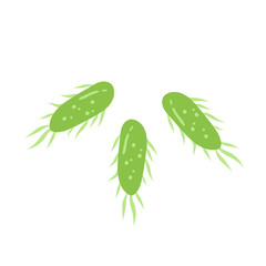 Naklejka premium E. coli bacteria vector icon