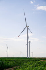 Agricultural field with wind turbines.
