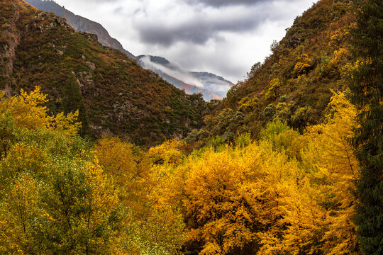 autumn landscape in the mountains